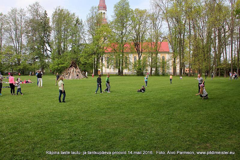 Proovid 195