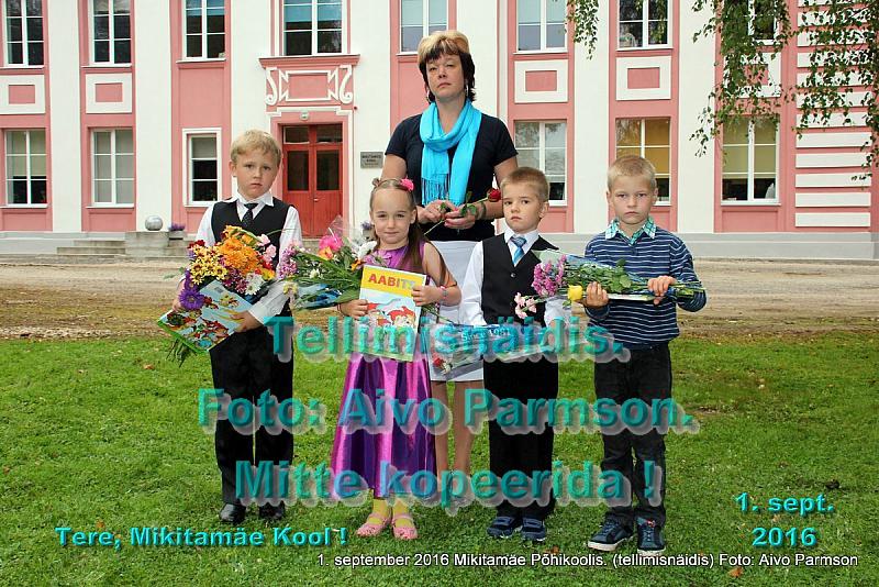 Kooli (37)