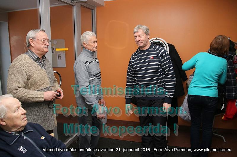 Velmo 011