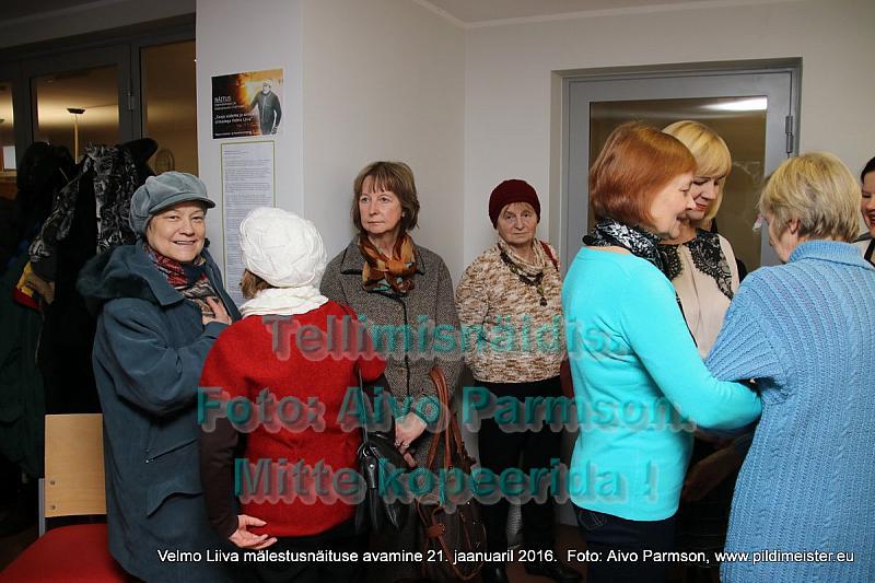 Velmo 018