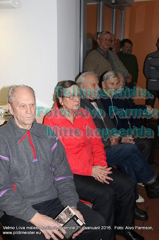 Velmo 021