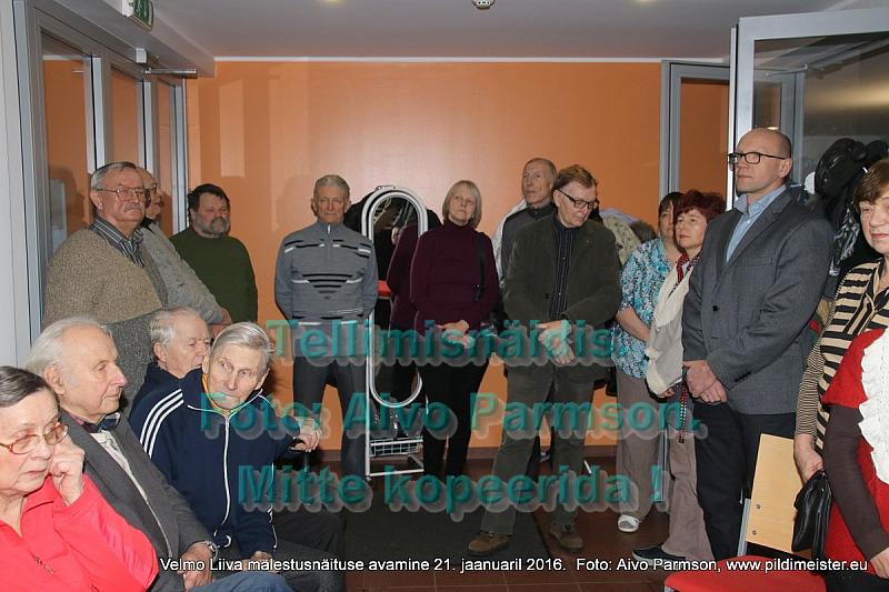 Velmo 022