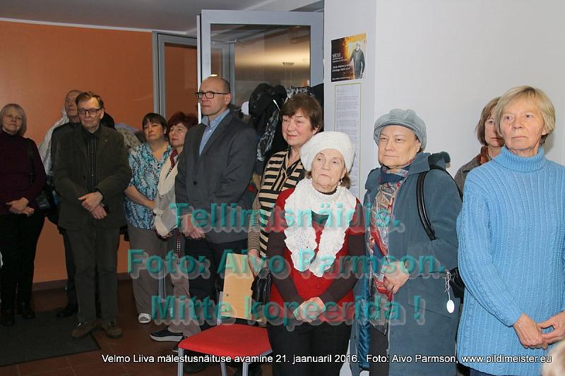 Velmo 023