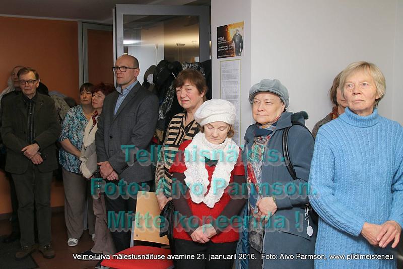 Velmo 024