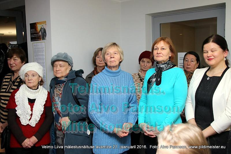 Velmo 025