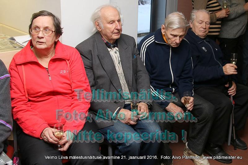 Velmo 029