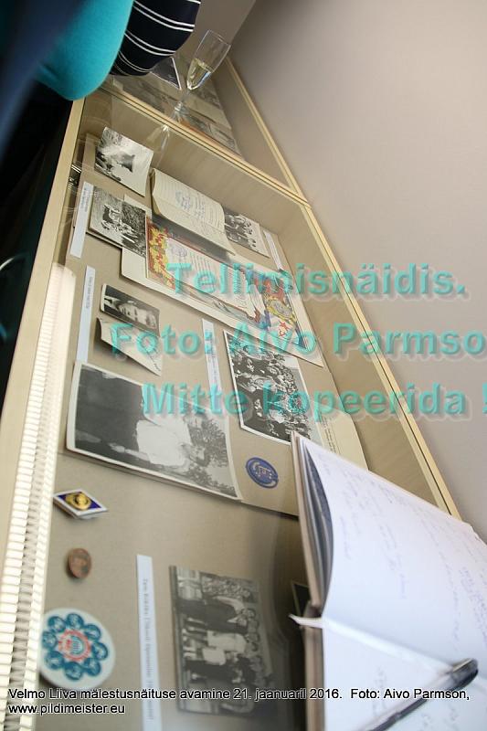 Velmo 030