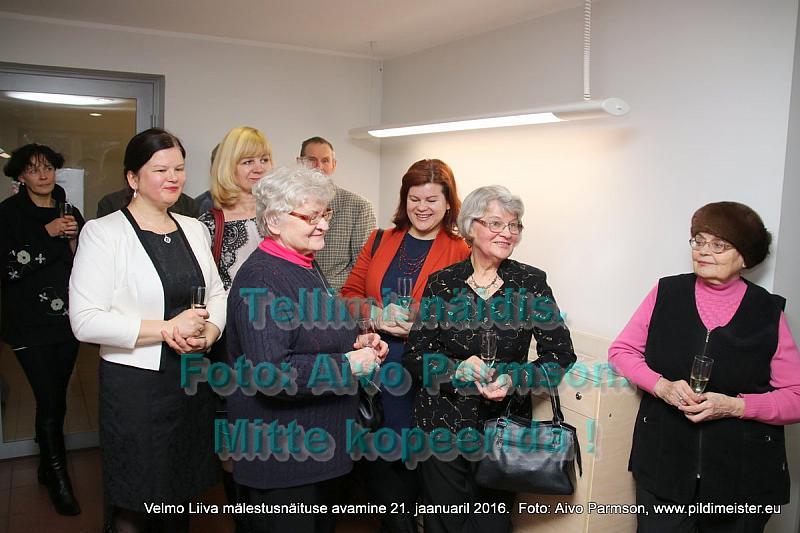 Velmo 036