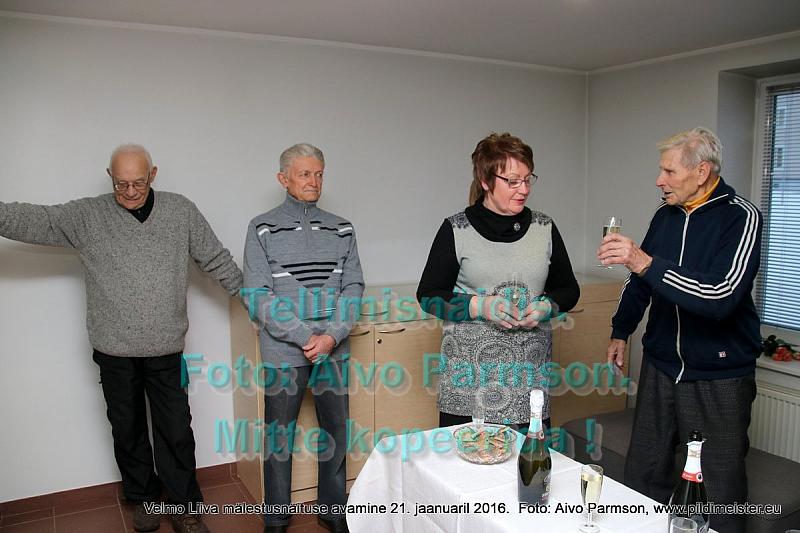 Velmo 043