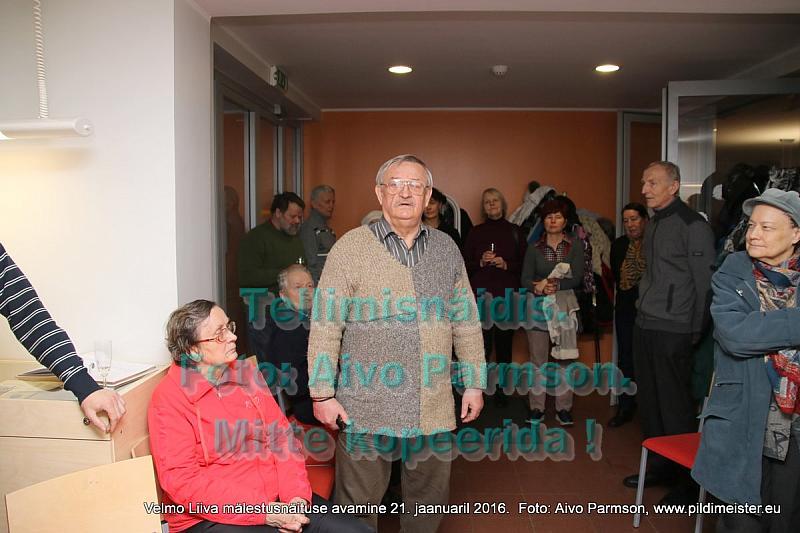 Velmo 046