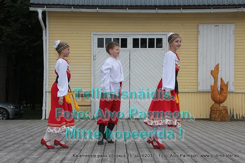 Kala 306