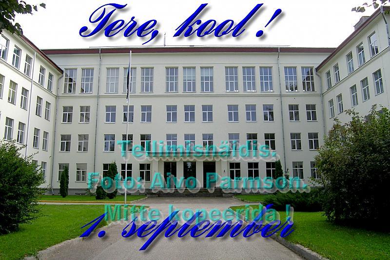 Avapilt