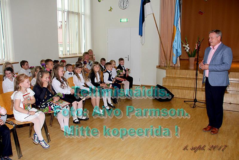 Tere (46)