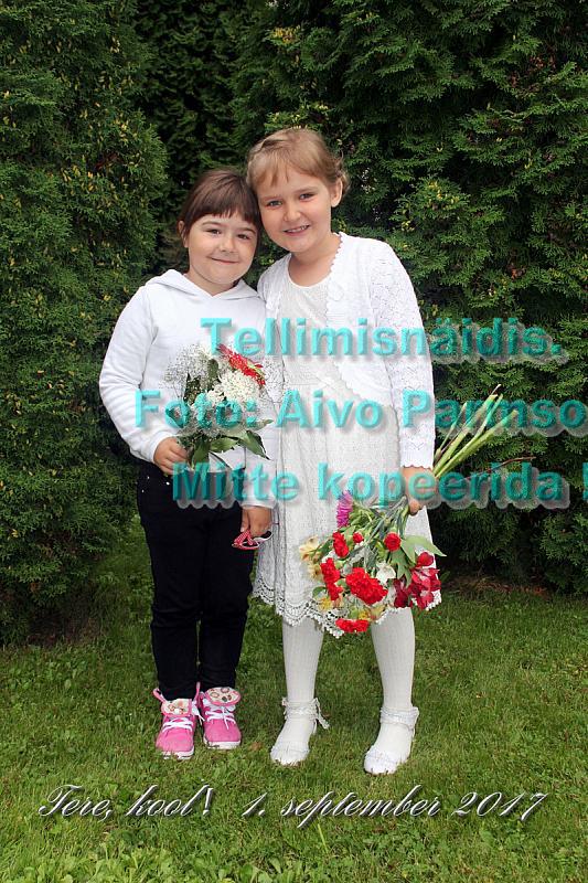 Tere (53)