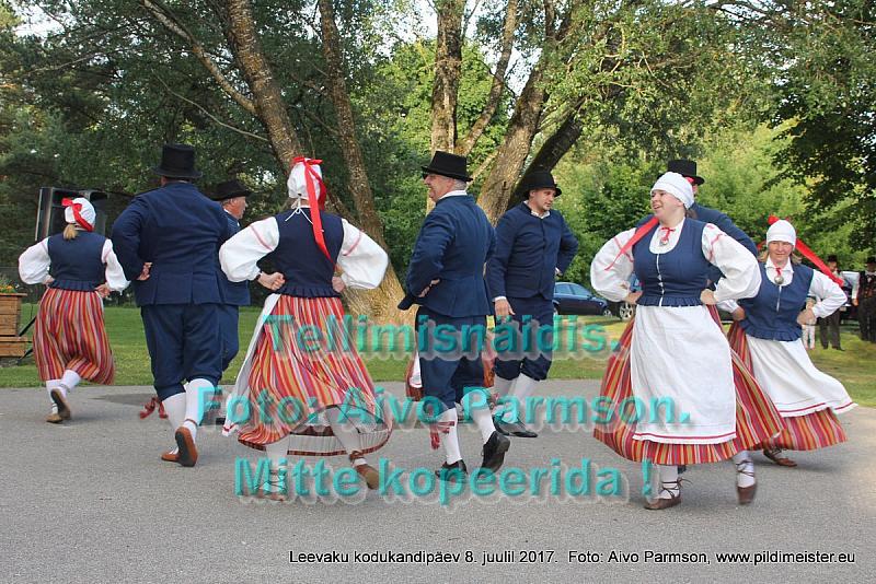 Kodukandi 175