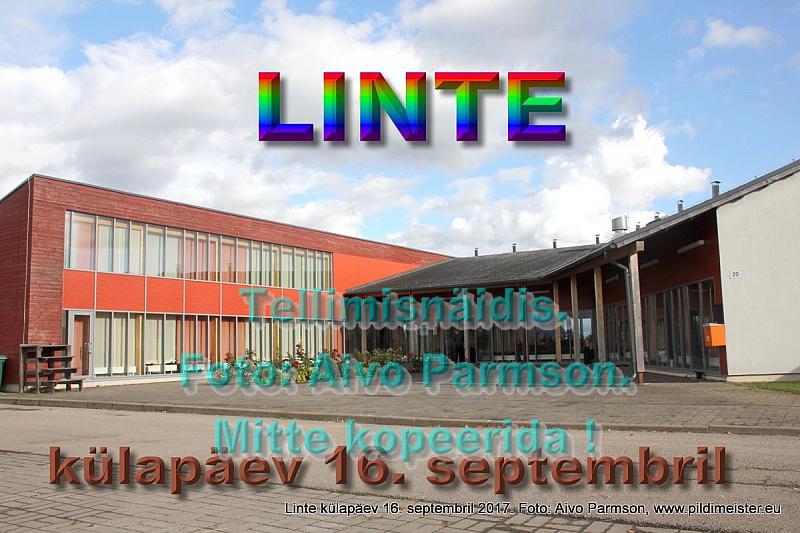 Avapilt