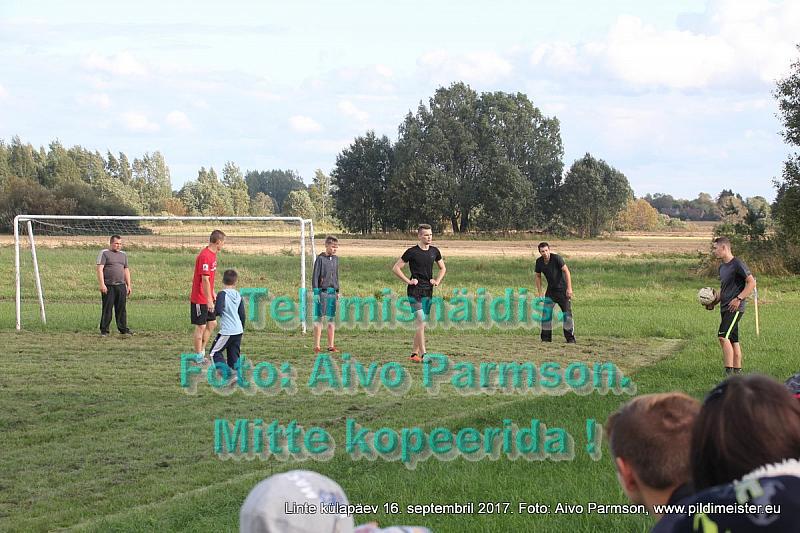 Linte 047