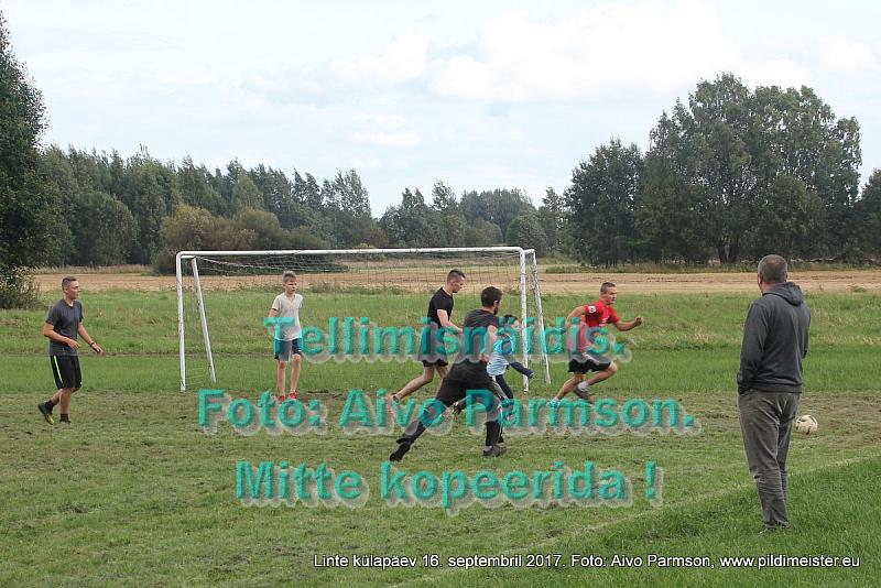 Linte 053