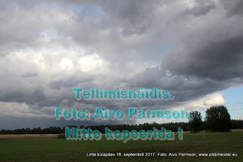 Linte 119