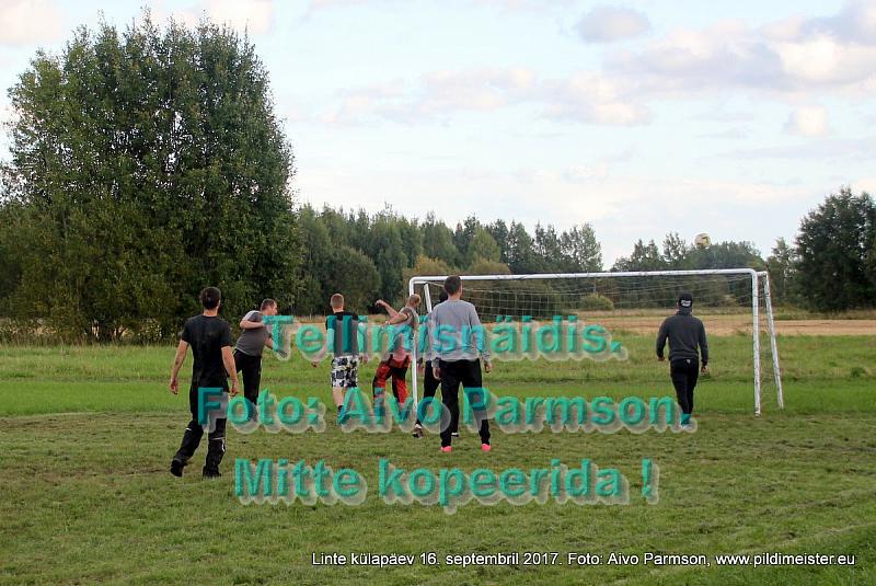 Linte 130