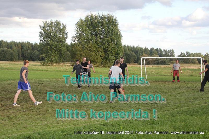 Linte 135