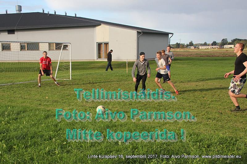 Linte 143