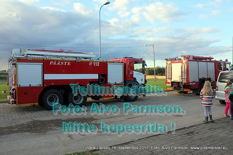 Linte 260