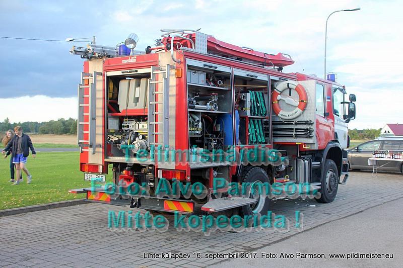 Linte 261