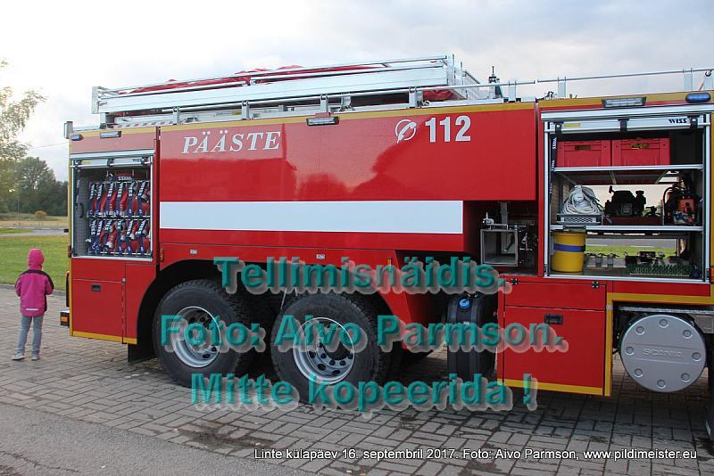Linte 263