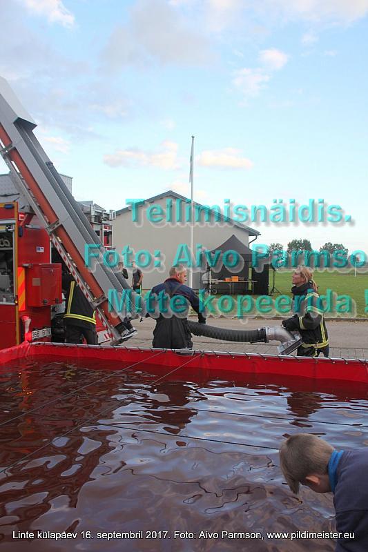 Linte 269