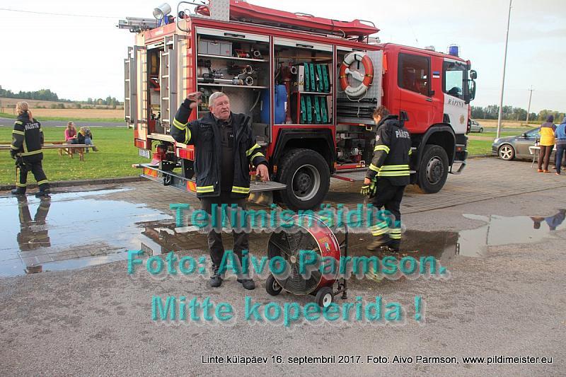 Linte 286