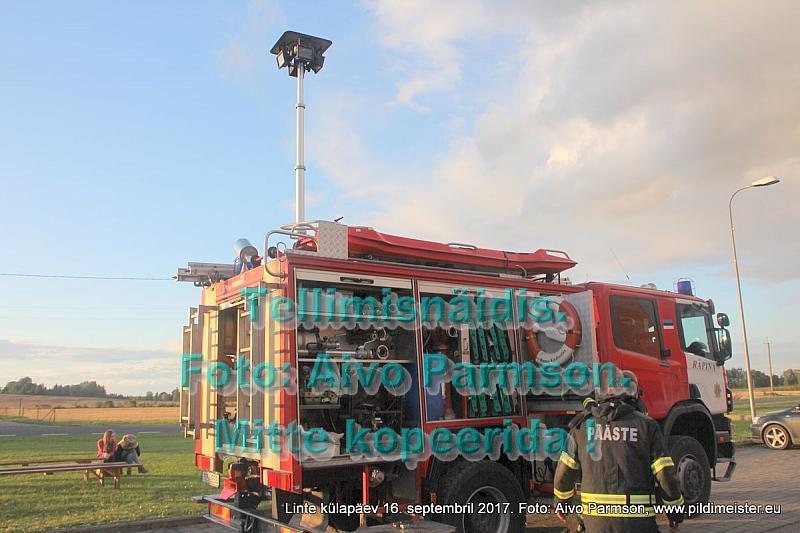 Linte 287