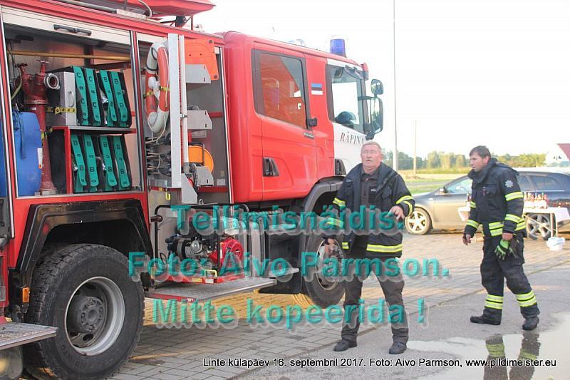 Linte 288