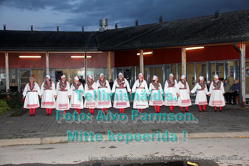 Linte 307