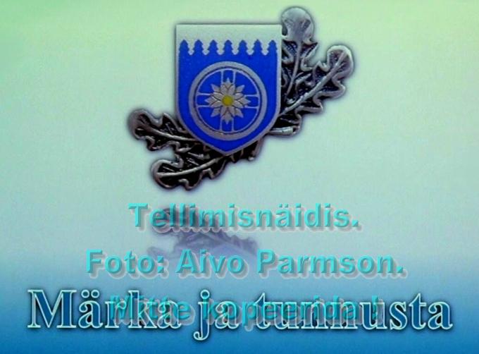 Avapilt