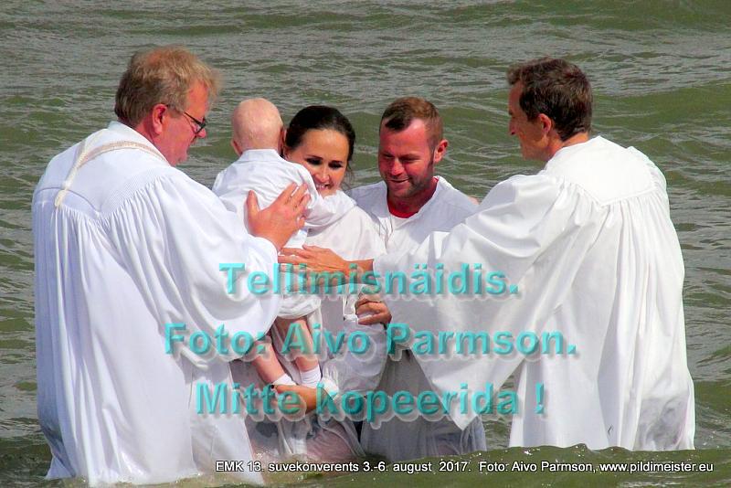 Ristimine (14)