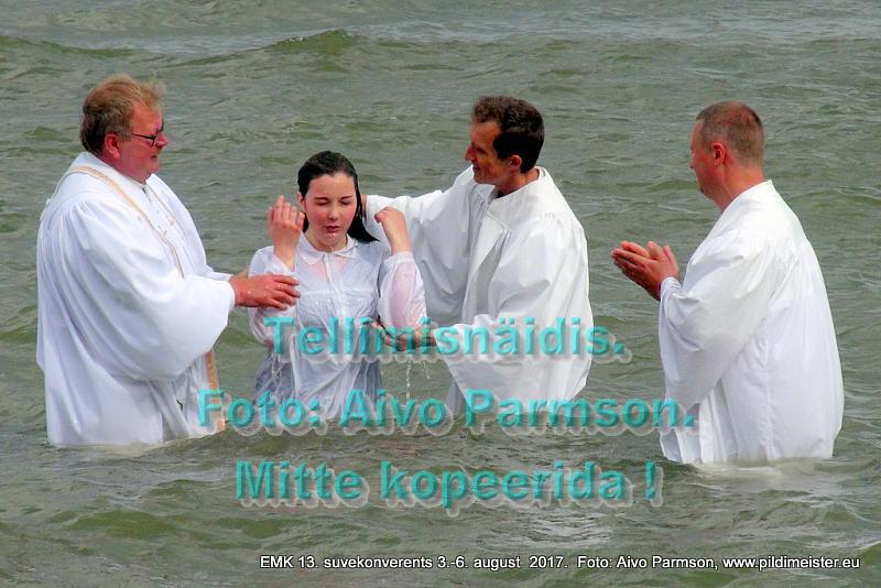 Ristimine (17)