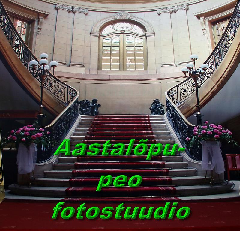 Avapilt