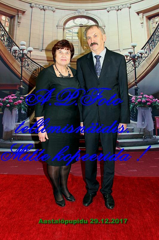 Pilt (103)