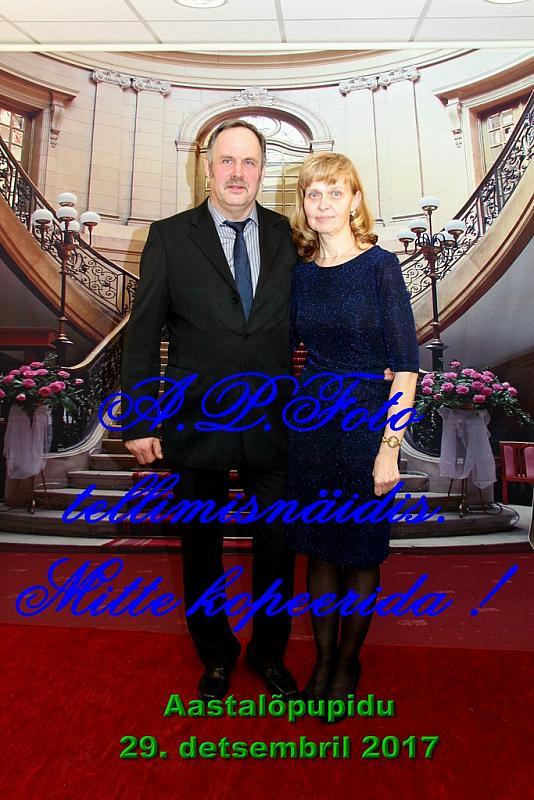 Pilt (106)