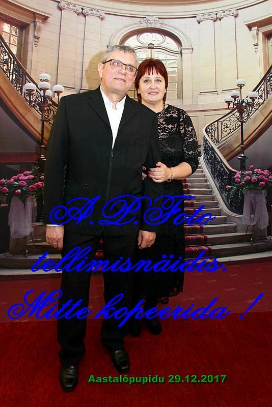 Pilt (111)