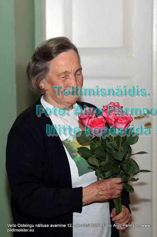 Vello 067