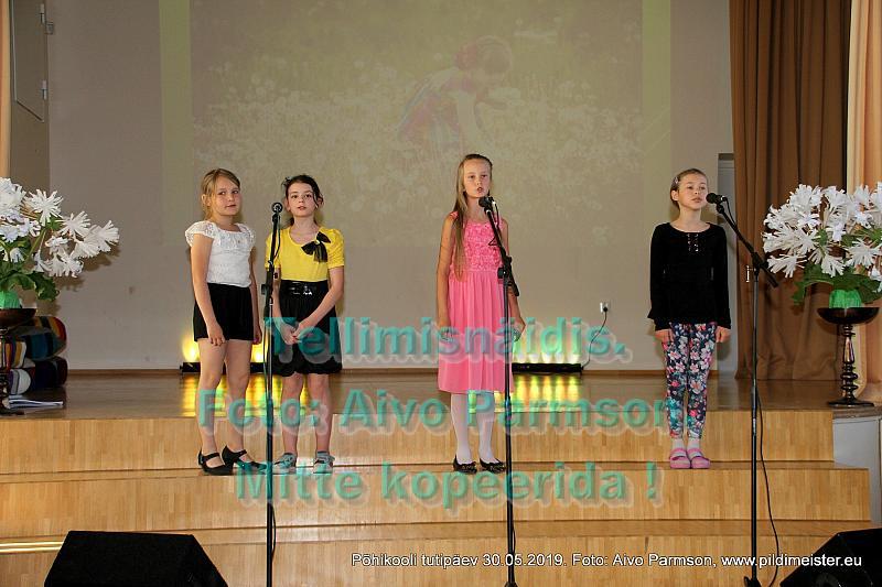 Tuti 04