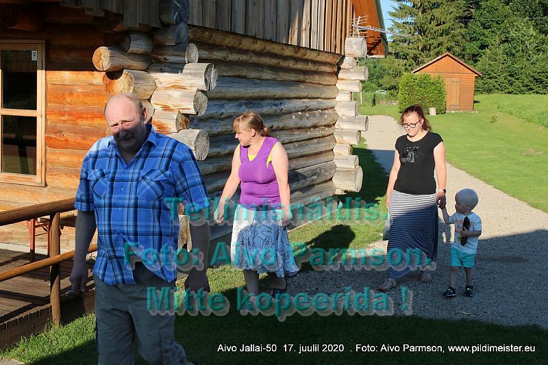 Aivo (10)