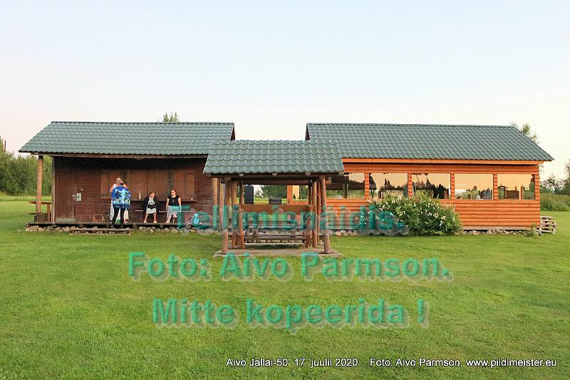 Aivo (66)