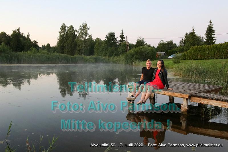 Aivo (71)