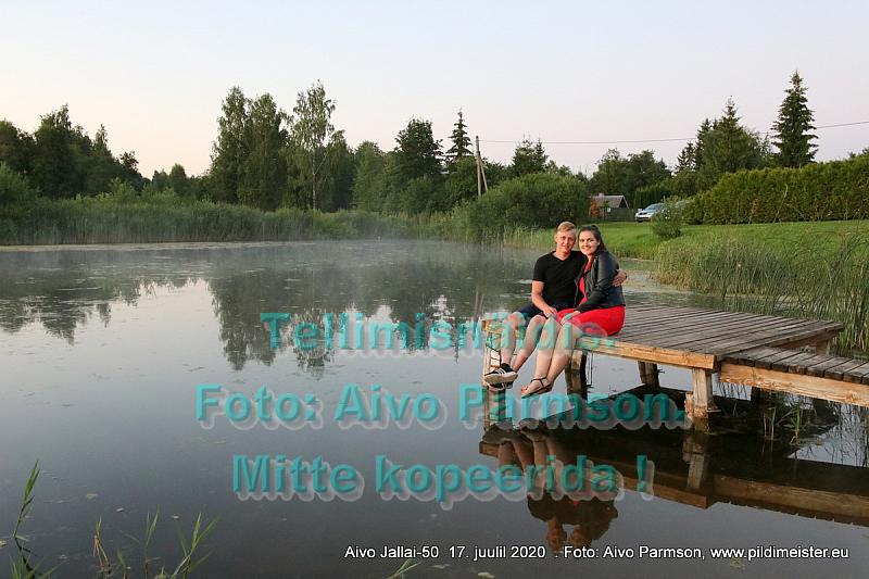 Aivo (72)