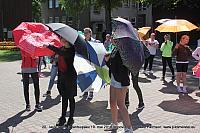 IMG 2695
