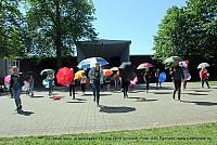 IMG 2712