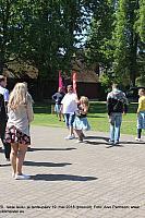 IMG 2753